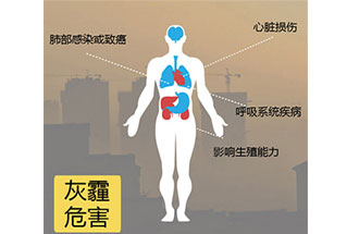 空氣中PM2.5 是由什么物質(zhì)組成的？