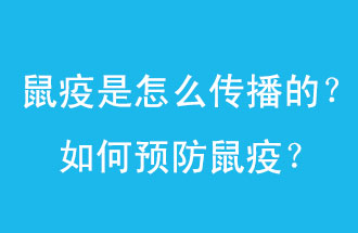 鼠疫是怎么傳播的？如何預(yù)防鼠疫？