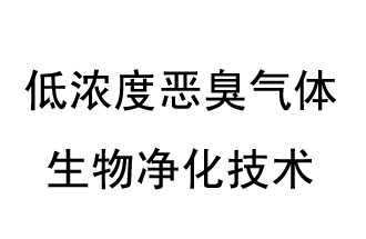 低濃度惡臭氣體生物凈化技術